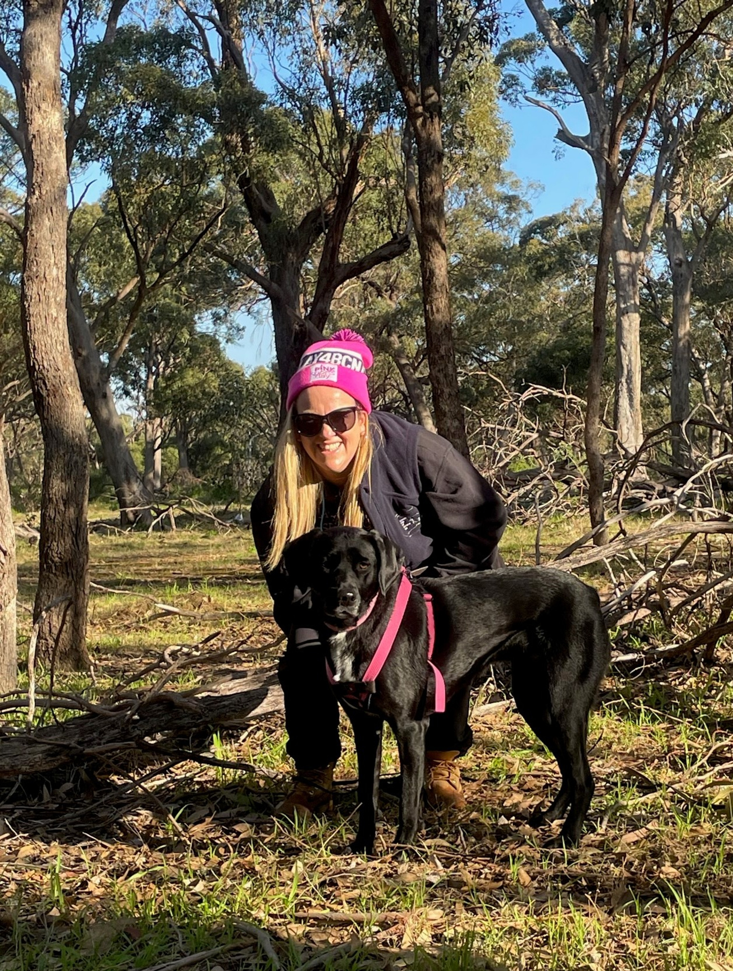A Beginner's Guide to Dog Training